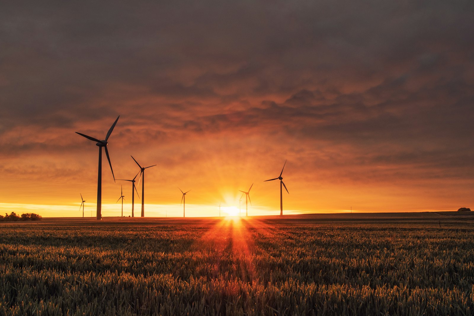 Wind Turbine Solutions — Sunvera Energy